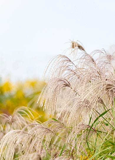 稻草背景墙卧室装饰画