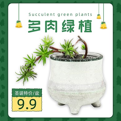 圣诞节鲜花绿植多肉主图直通车