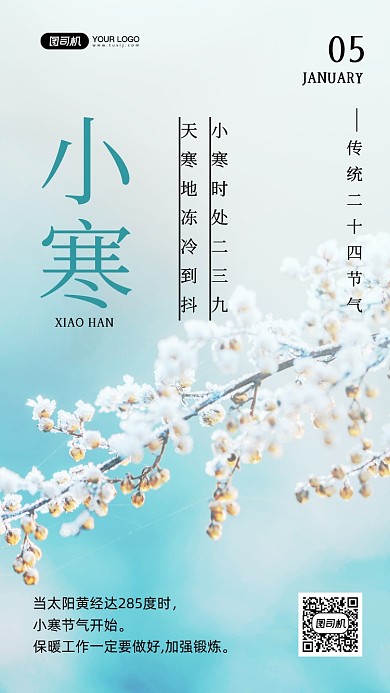 小寒节气24节气写实手机海报