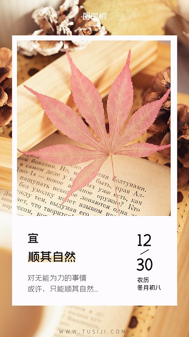 日签小清新文艺风手机海报