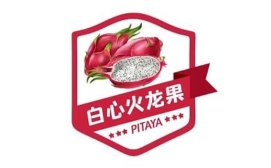 火龙果简约风食物标签不干胶