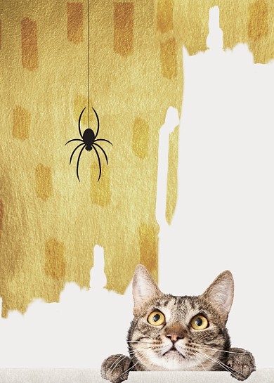 北欧现代简约猫咪蜘蛛动物装饰画