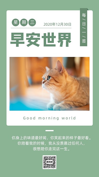 早安世界小清新喵咪日签月签