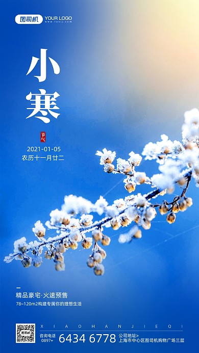 小寒节气摄影图宣传手机海报