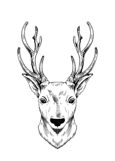 北欧黑白简约复古麋鹿无框画装饰画