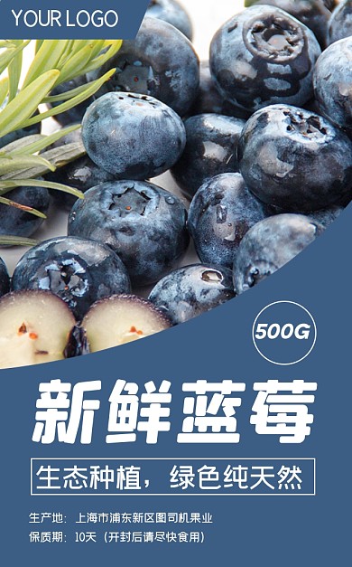 蓝莓水果蓝色简约风食品标签不干胶