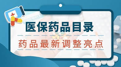 医保目录清单手机横图