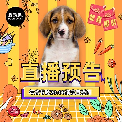 年货节宠物零食食品直播间预告主图直通车