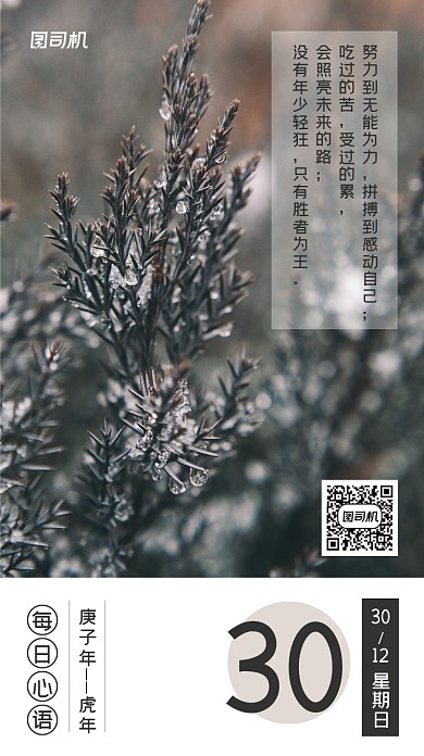 日签每日心语简约手机海报