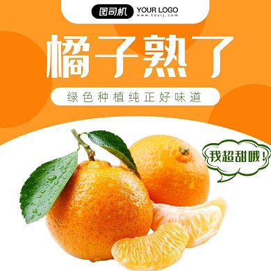 新鲜水果橘子主图直通车