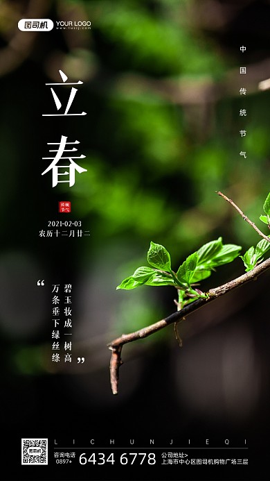立春节气树叶摄影图宣传手机海报