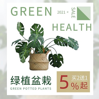 绿植清新盆栽半价起售主图直通车