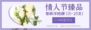 紫色情人节鲜花美团海报