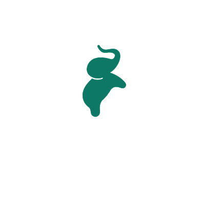 大象公司通用标志LOGO背景