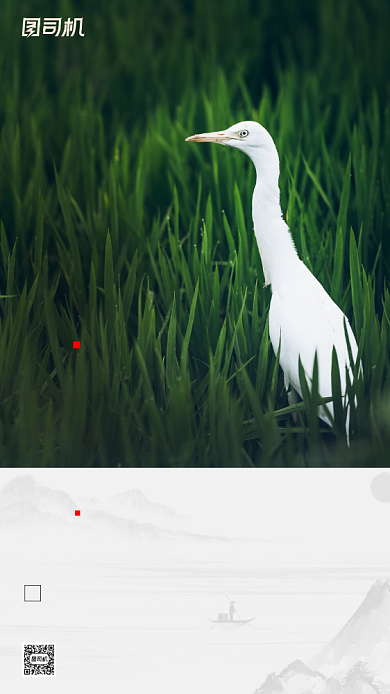 传统节气白露手机海报背景