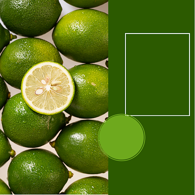 电商果蔬柠檬新鲜水果生鲜直通车背景