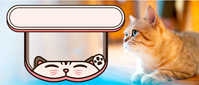 猫奴的日常写实新媒体首图背景