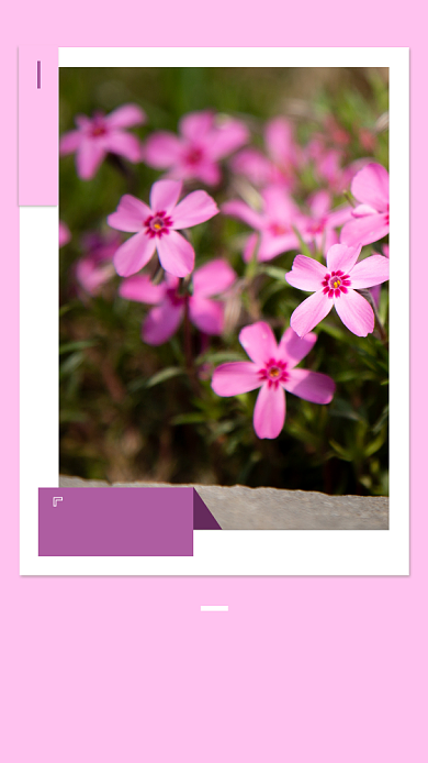 梦幻粉嫩花朵早安问候海报背景