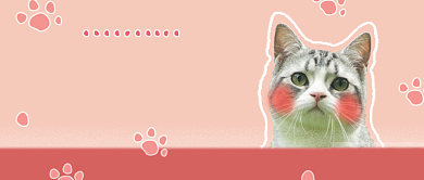粉色宠物猫咪冷知识公众号首图背景