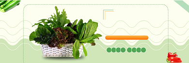 有机蔬菜绿色美团买菜海报背景