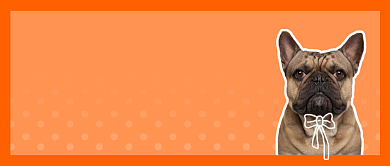 橙色创意活动促销公众号首图背景