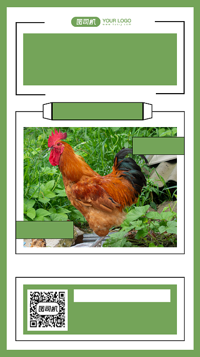 散养土鸡生鲜宣传摄影图手机海报背景
