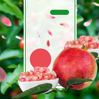 石榴水果淘宝直通车模板背景