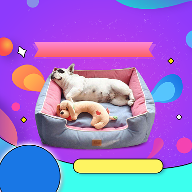 宠物用品狗窝主图直通车卡通主图背景