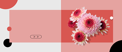 粉色小清新文艺鲜花主题公众号首图背景