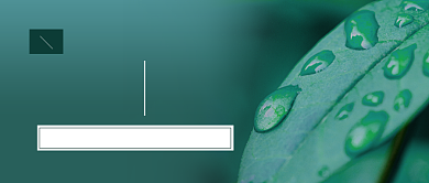 夏天小清新八月你好公众号首图背景