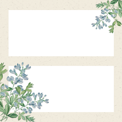 感恩老师教师节清新简约贺卡背景