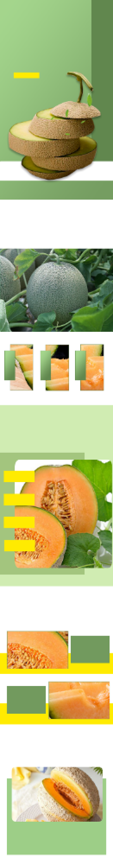 生鲜食品甜瓜哈密瓜水果详情页背景