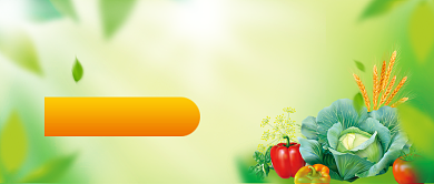 蔬果生鲜低价宣传公众号首图背景