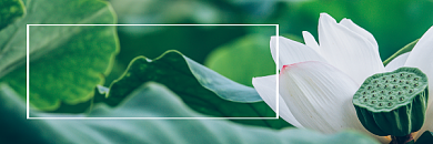 健康养生小常识清新简约热文链接背景