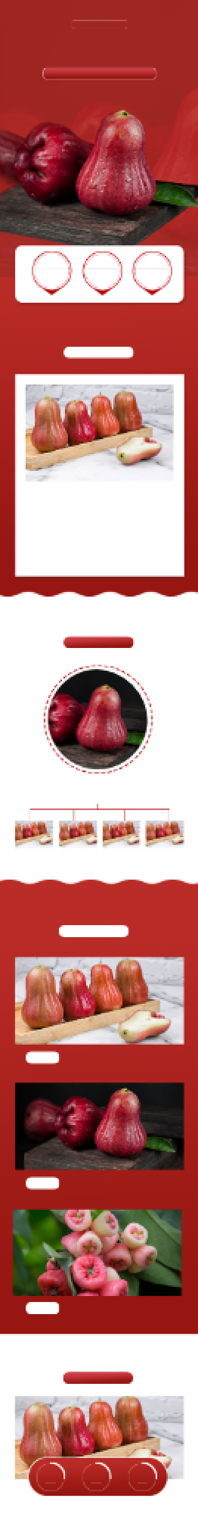 莲雾新鲜水果食品茶饮详情页背景