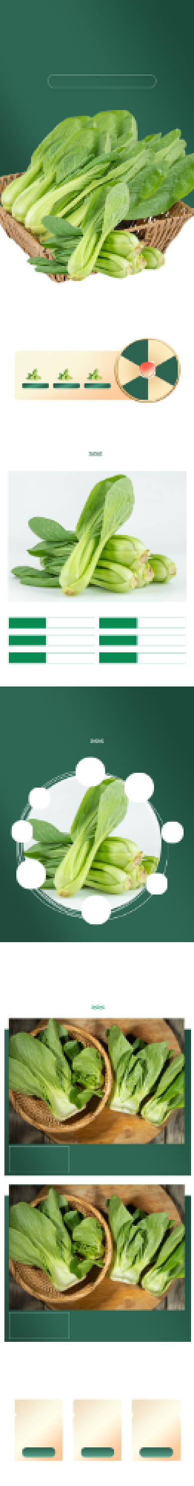 上海青小油菜食品蔬菜双十二详情页背景