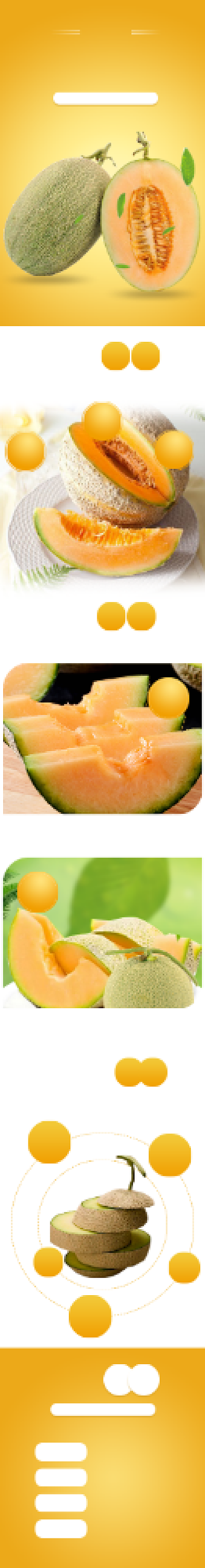 生鲜食品甜瓜哈密瓜水果详情页背景
