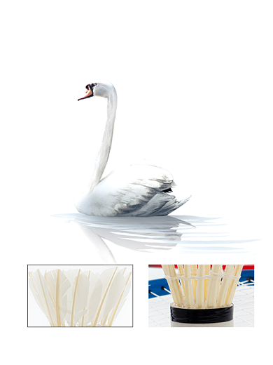 羽毛球天鹅毛主图直通车背景