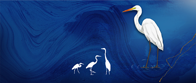 白露节气公众号首图背景