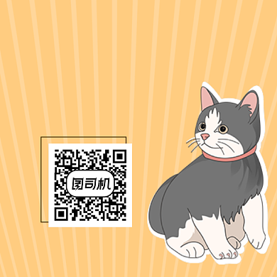 宠物那些事可爱插画方形二维码背景