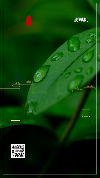 白露节气24节气手机海报背景