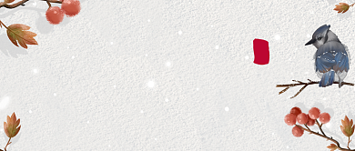 大雪节气简约大气质感公众号首图背景