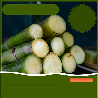 电商淘宝冬季水果甘蔗上新直通车主图背景