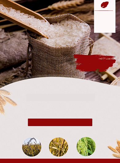 精选大米冬季促销印刷海报背景