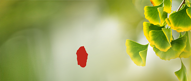 立秋节气公众号首图背景