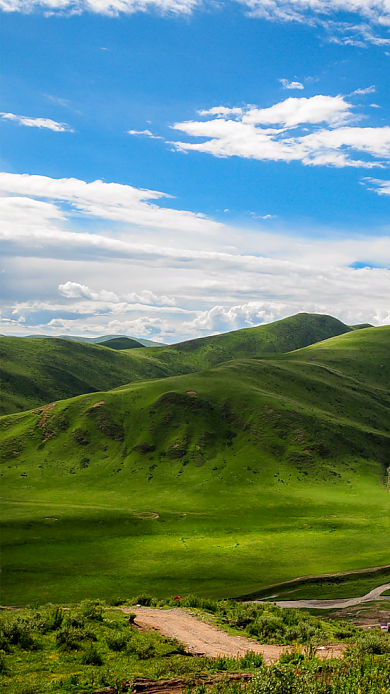 蓝天白云高原草地手机壁纸背景