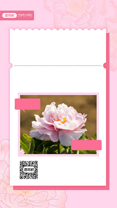 牡丹花宣传摄影图手机海报背景