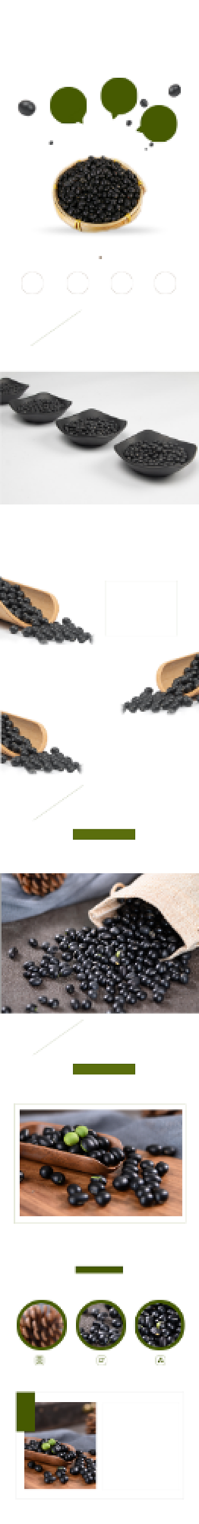 有机黑豆农副产品详情页背景