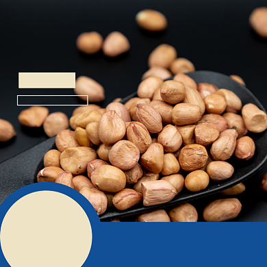 花生食品淘宝主图直通车模板背景