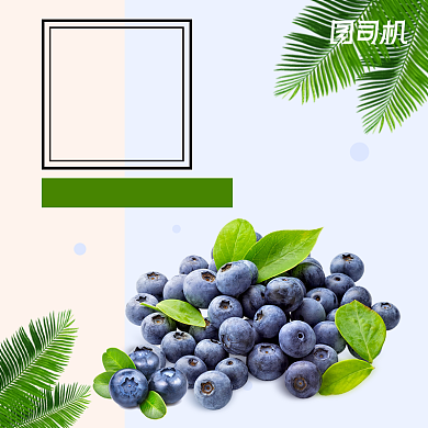浅色简约风水果进口蓝莓电商主图背景